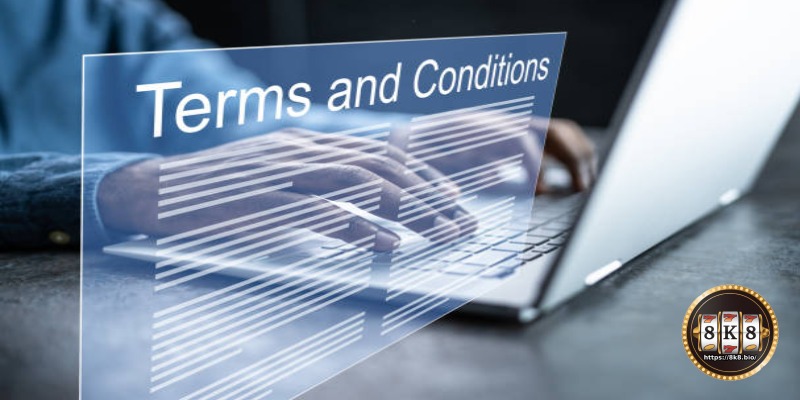 Promotional Terms