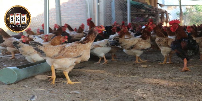 Regular deworming schedule