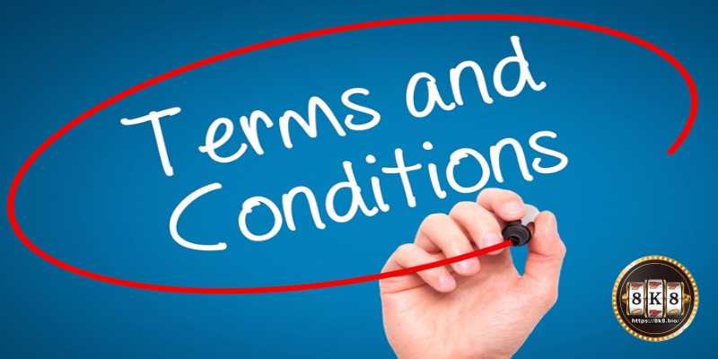The special role of Terms and Conditions