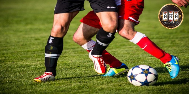Understand the Over/Under Betting Odds