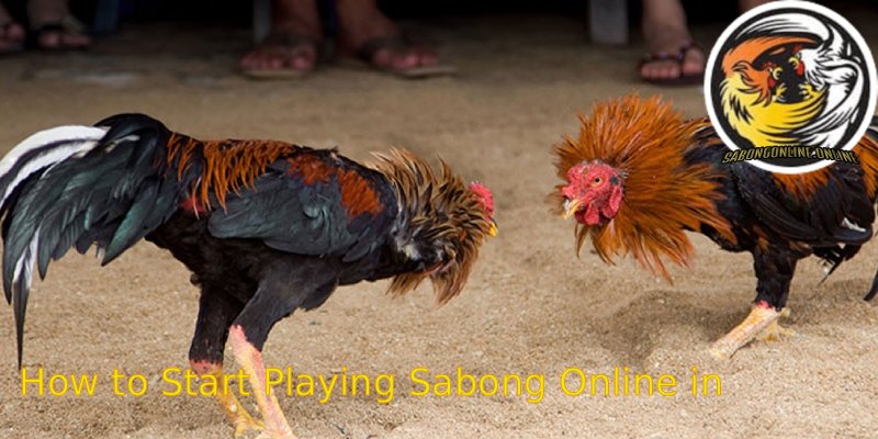How-to-Start-Playing-Sabong-Online-in-3-Easy-Steps
