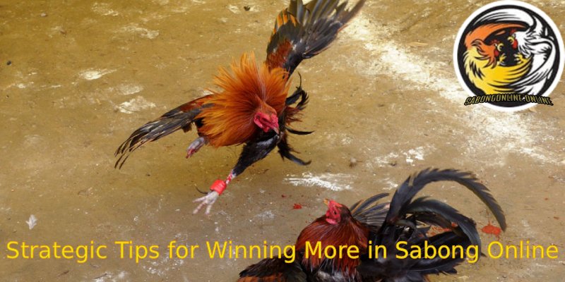 Strategic-Tips-for-Winning-More-in-Sabong-Online
