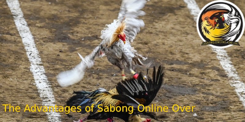 The-Advantages-of-Sabong-Online-Over-Traditional-Cockfighting