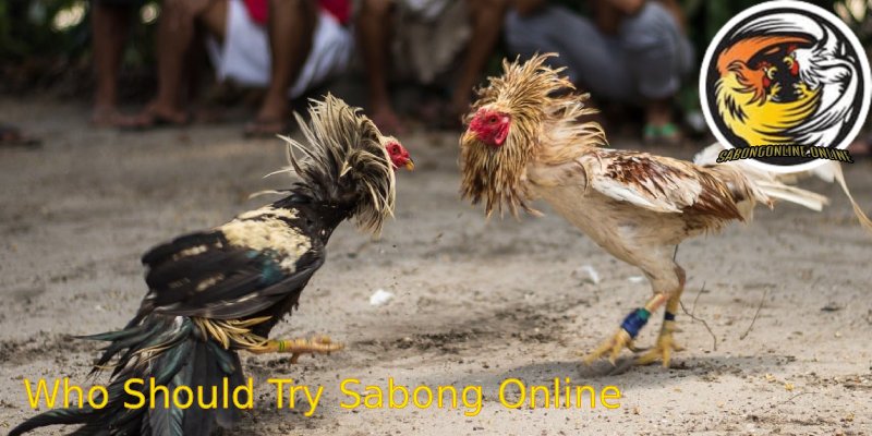 Who-Should-Try-Sabong-Online
